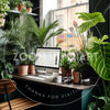 Office Filled With House Plants
