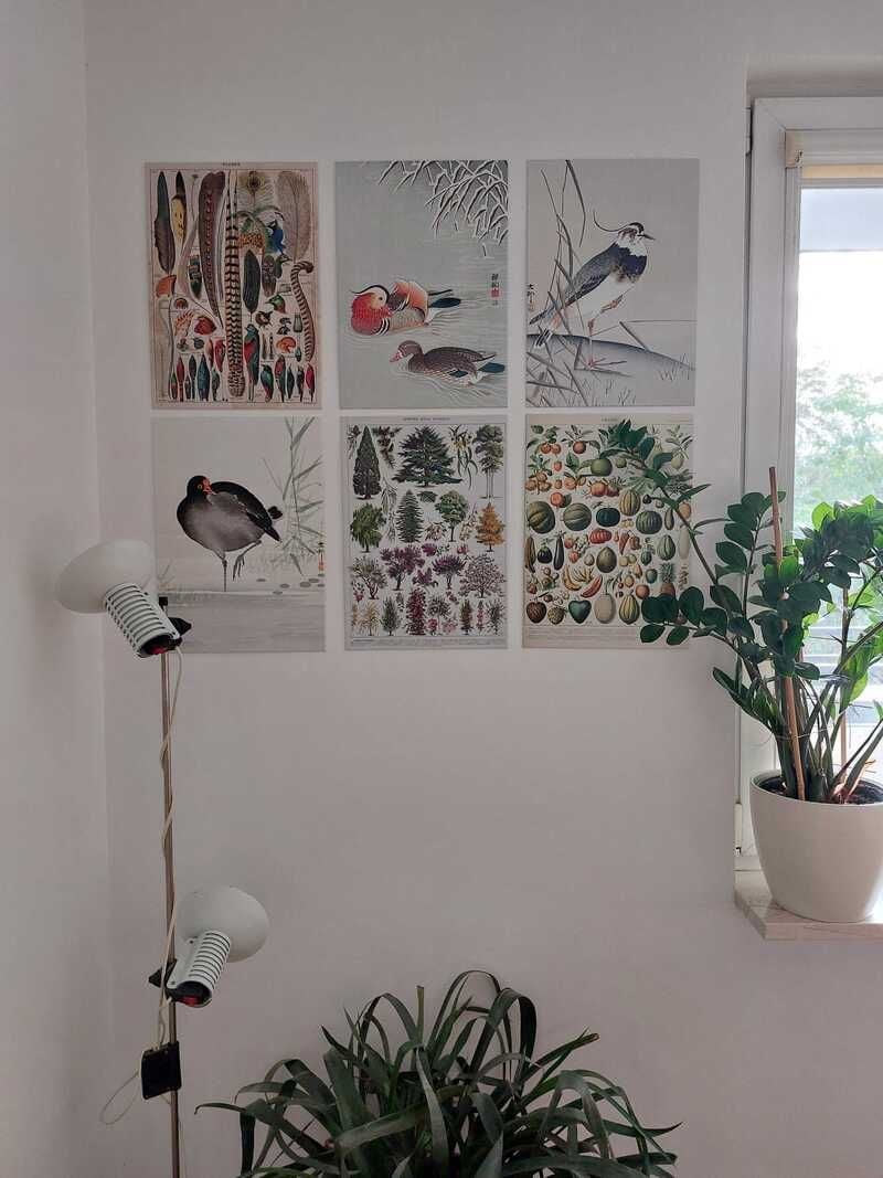 Inspiration image