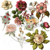 28 Elegant Floral PNGs – Digital Clipart for Cards, Invitations & Projects