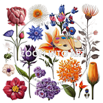 30 Botanical Flower PNG Pack – Digital Floral Elements for Commercial Use