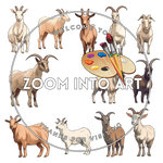 18 Farm Goats PNG Clipart – Transparent Background Animal Graphics